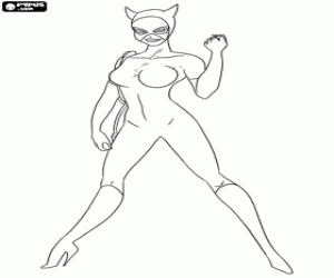Colora Catwoman, rivale di Batman