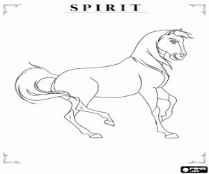 Colora Il cavallo selvaggio, Spirit