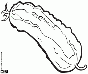 Colora Il cetriolo è molto idratante