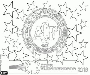 Colora Chapecoense, Copa Sudamericana 2016