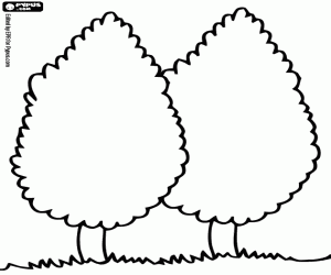 Colora Due cipressi, Cupresso