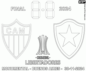 Colora Coppa Libertadores, finale 2024