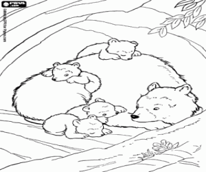 Colora Cuccioli di orso con la loro madre