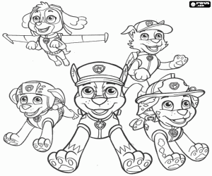 Colora Cinque dei cani PawPatrol