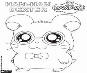 Colora Dexter, il criceto Ham-ham