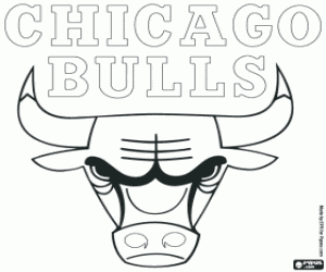 Colora Distintivo di Chicago Bulls