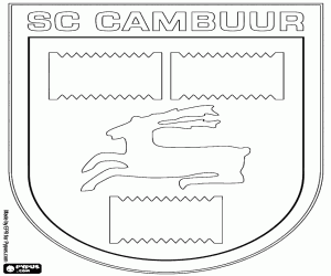 Colora Distintivo di SC Cambuur