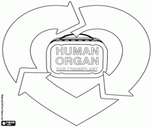 Colora Donazione e trapianto di organi