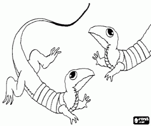 Colora Due lucertole faccia a faccia