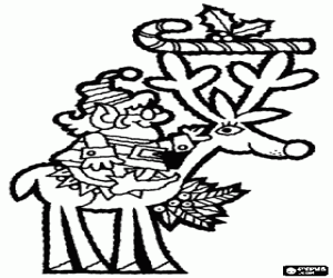 Colora Elfo di Natale in sella a una renna