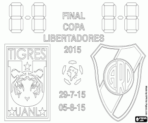 Colora Finale Coppa Libertadores 2015
