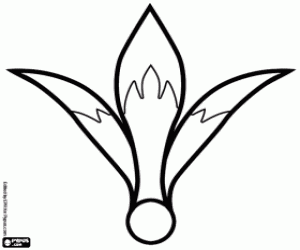 Colora Un fiore Amaryllus