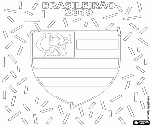 Colora Flamengo, Brasileirao 2019