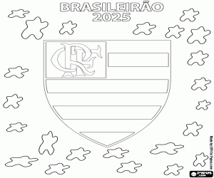 Colora Flamengo, Campione Brasiliano 2025