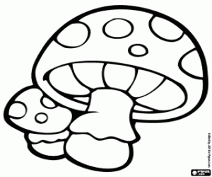 Colora Funghi velenosi. Funghi degli gnomi