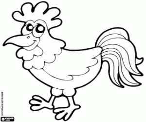 Colora Gallo