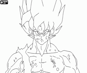 Colora Goku pronti a combattere