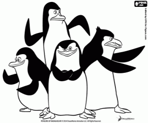 Colora Gruppo di pinguini in azione