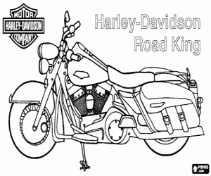 Colora Harley-Davidson Road King