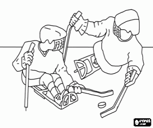 Colora Hockey su ghiaccio per disabili