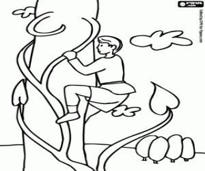 Colora Jack e il fagiolo magico