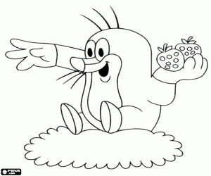 Colora Krtek la talpa con fragole in mano