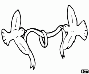 Colora L'anello nuziale e le colombe