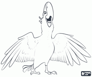 Colora L'ara Blu del film Rio