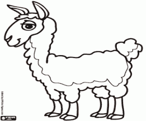 Colora La lama, l'animale degli incas