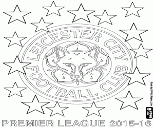 Colora Leicester City, campione 2015-2016