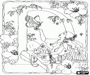 Colora Lettera D nel giardino della fata