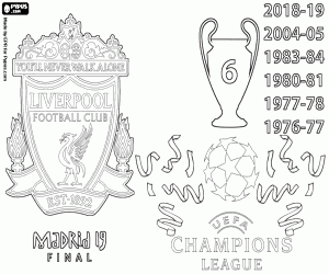 Colora Liverpool, Champions League 2019
