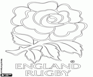 Colora Logo della squadra di rugby inglese