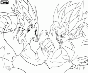Colora Lotta tra Goku e Vegeta