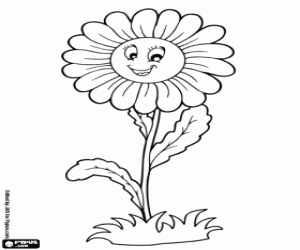 Colora Una margherita, un fiore