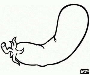 Colora Melanzana, un frutto commestibile