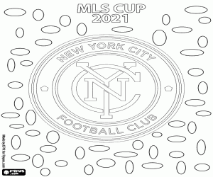 Colora New York City FC, MLS Cup 2021