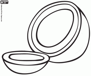 Colora Una noce di cocco aperta