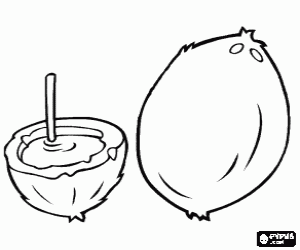 Colora Due noci di cocco
