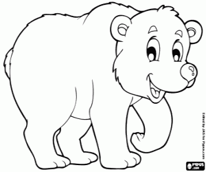 Colora Orso bianco