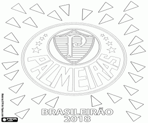 Colora Palmeiras, campione brasiliano 2018