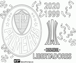 Colora Palmeiras, campione Libertadores 2020