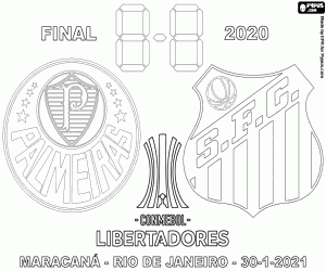 Colora Palmeiras - Santos, Libertadores 2020