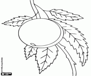 Colora Una pesca sull'albero