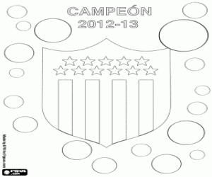 Colora Peñarol, campione del 2012-2013