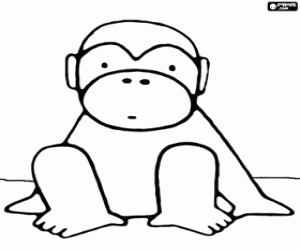 Colora Piccola scimmia messa nella terra