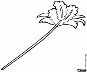 Colora Un piumino per giocare con il gatto