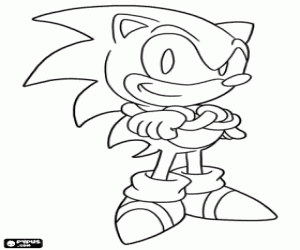 Colora Il protagonista, Sonic il riccio