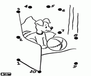 Colora Punto per punto, il cane e la palla