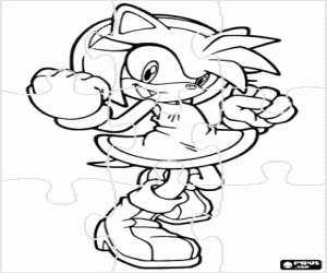 Colora Puzzle di Amy Rose, Sonic